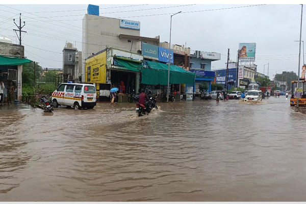  रथयात्रा के दिन से झमाझम बारिश का दौर जारी, हरियाली से महका गरियाबंद