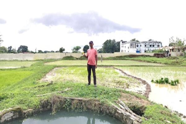 किसान राय सिंह ने कम लागत में बेहतर उत्पादन की उम्मीद के साथ अपनाई आधुनिक कृषि तकनीक Posted On:- 2026-07-23