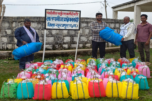  मत्स्य कृषकों को स्पॉन संवर्धन योजना का लाभ, निःशुल्क मत्स्य बीज एवं तकनीकी मार्गदर्शन