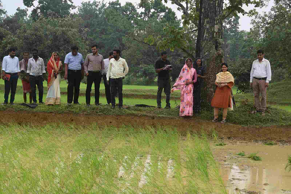 खेतों में पहुंचीं कलेक्टर, दलहन-तिलहन उत्पादन, प्राकृतिक खेती और विकास कार्यों का किया व्यापक निरीक्षण