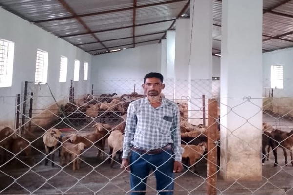  भेड़ पालन से आत्मनिर्भर बने बस्तर के सुरेन्द्र, ग्रामीण उद्यमिता की बने मिसाल