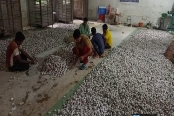 विशेष लेख : वनांचल में रेशम की चमक