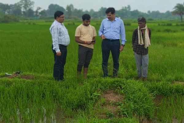  डिजिटल क्रांति की ओर नारायणपुर का कृषि क्षेत्र