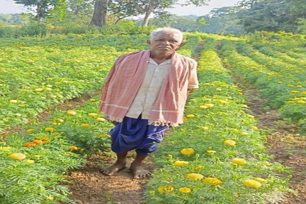 धान से गेंदा की खेती की ओर बढ़े आनंद राम, 0.400 हेक्टेयर में कमाया 3.96 लाख रुपए