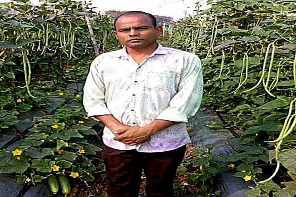  फसल परिवर्तन से बढ़ा उत्पादन और मुनाफा