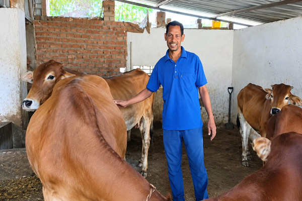 पशु विभाग की सलाह से नस्ल सुधार की राह पर बढ़े दयासागर, बढ़ा दुग्ध उत्पादन और मजबूत हुई आजीविका