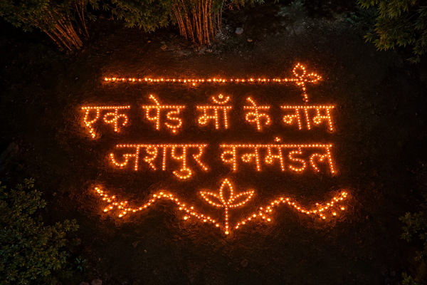 एक पेड़ माँ के नाम&rsquo; की आकर्षक आकृति से सजा जशपुर वनमंडल, रोशन हुआ &lsquo;आशीर्वाद का दीया&rsquo;