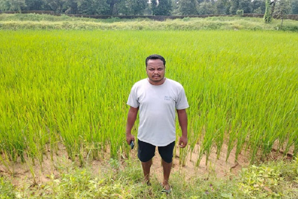 सौर सुजला योजना से खेतों तक पहुंचा सिंचाई का भरोसा