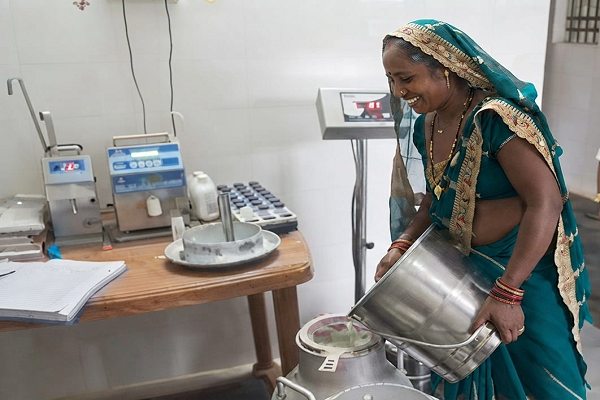 विशेष लेख : जोरातराई की 17 आदिवासी महिलाओं ने डेयरी व्यवसाय से लिखी आत्मनिर्भरता की नई कहानी
