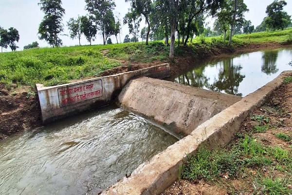 सेवा संकल्प अभियान: सेवा की कहानी- चेकडेम ने बदली गांव की तस्वीर, खेती को मिला सिंचाई का सहारा