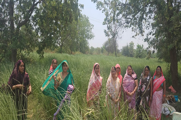 सेवा की कहानी : सेवा संकल्प अभियान; औषधीय खस की खेती से आत्मनिर्भरता की ओर बढ़ते कदम
