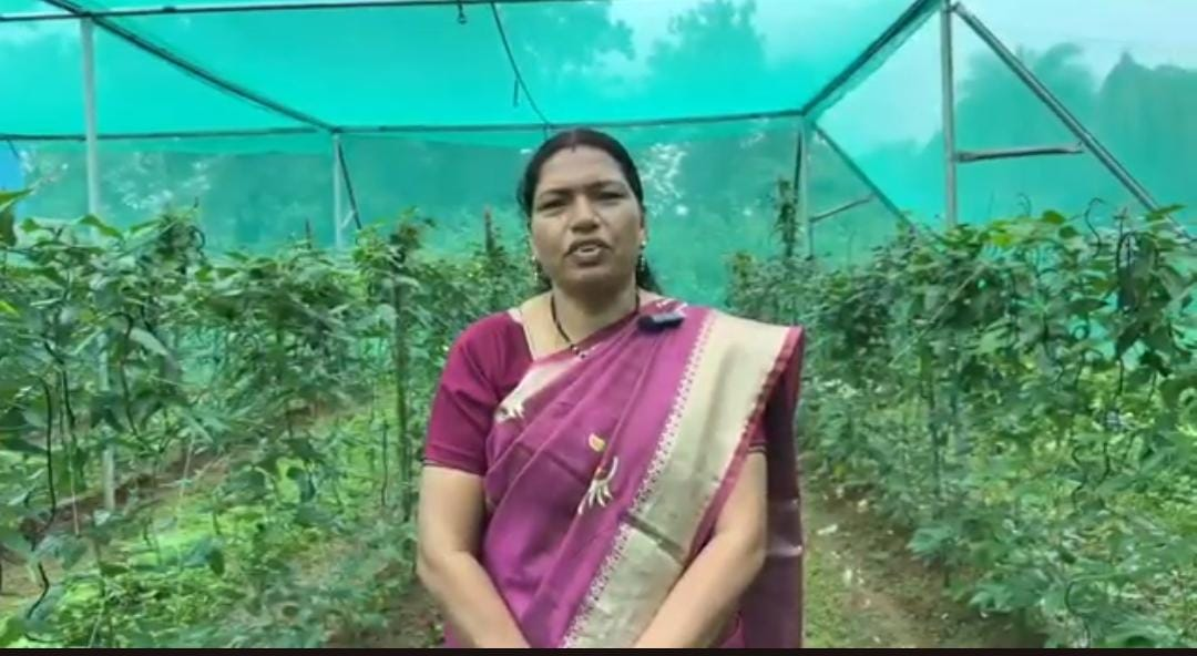नर्सरी व्यवसाय से आत्मनिर्भरता की ओर बढ़ती ग्राम चितालूर की अनिता ठाकुर