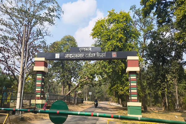  01 नवंबर से खुलेगा अचानकमार टाइगर रिजर्व, पर्यटक फिर कर सकेंगे जंगल सफारी की सैर*