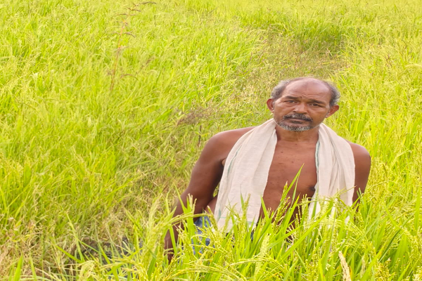 &rsquo;सेवा संकल्प अभियान-2026&rsquo; : सेवा की कहानीः कृषक उन्नति योजना से शंकर प्रसाद को मिलेगा 45 हजार रुपये का लाभ, तीन एकड़ में की सुगंधित धान की खेती