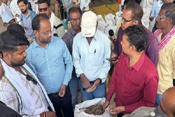 धमतरी की वनोपज मंडी में औषधीय उत्पादों के कारोबार को मिल रहा विस्तार