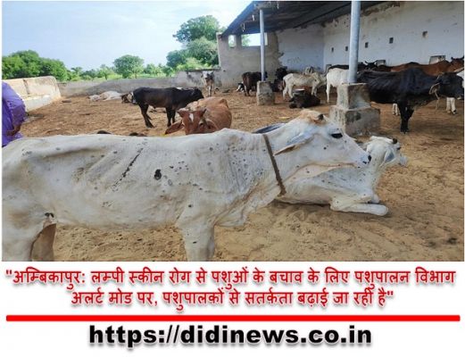"अम्बिकापुर: लम्पी स्कीन रोग से पशुओं के बचाव के लिए पशुपालन विभाग अलर्ट मोड पर, पशुपालकों से सतर्कता बढ़ाई जा रही है"