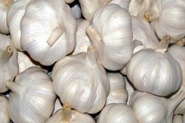 प्याज के बाद अब आसमान छू रहे लहसुन के भाव, चिल्हर में बिक रहा 250 रुपये किलो