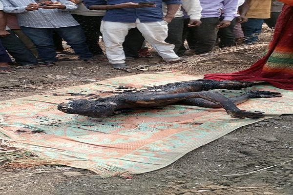  ग्राम पटेल की खेत मे मिली लाश पूरी तरह जली हुई है