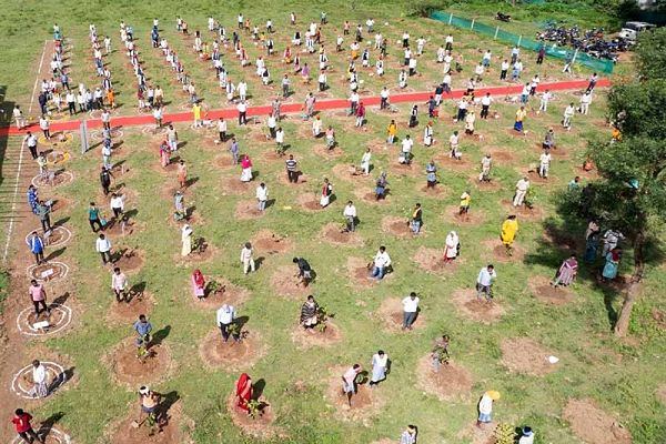 दशहरा रथ के लिए काटे गए पेड़ों की भरपाई के लिए रोपे गए 251 पौधे