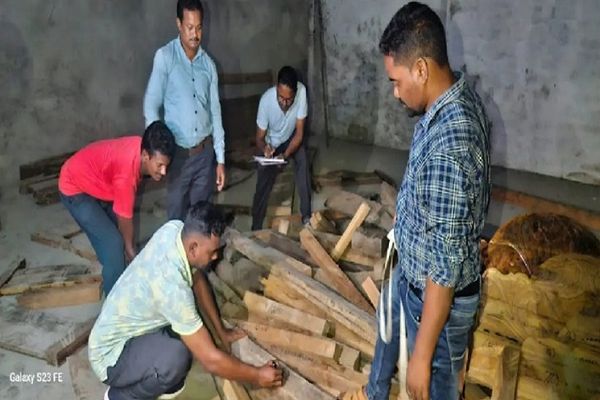 वन विभाग की कार्रवाई, लाखों के सागौन लकड़ी जब्त