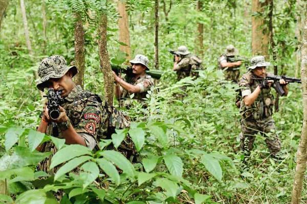 31 नक्सलियों के शव बरामद, हथियार भी मिले, छत्तीसगढ़ में अब तक की सबसे बड़ी मुठभेड़...