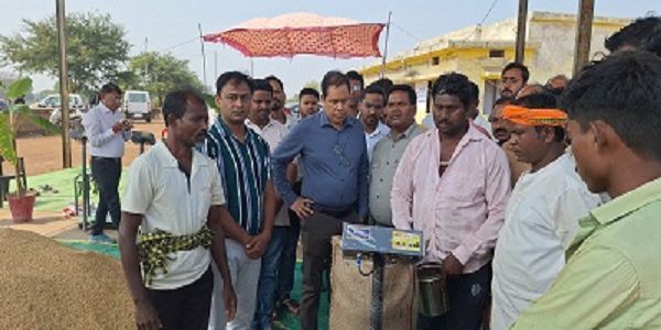 कलेक्टर ने विधि विधान से किया धान खरीदी का शुभारंभ