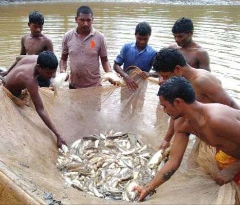 कांकेर जिले की मिलेगी एक और राष्ट्रीय स्तर की सौगात