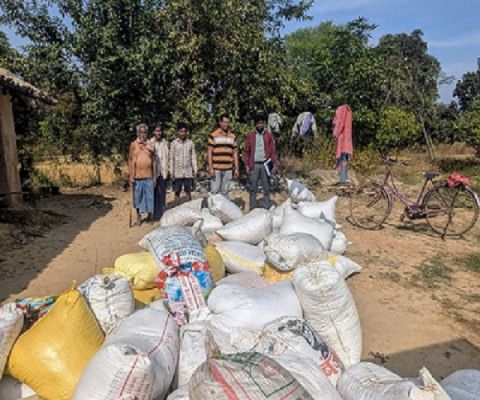 सरकारी जमीन में कब्जा कर खेती करने वालों की उपज जब्त