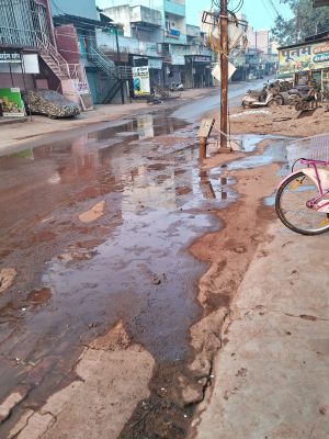  नगर पालिका परिषद की लापरवाही से शहर में गंदगी और बदबू, अध्यक्ष की कार्यशैली पर उठ रहे सवाल