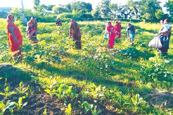 स्व-सहायता समूह की महिलाओं ने पकड़ी आत्मनिर्भर बनने की नई राह