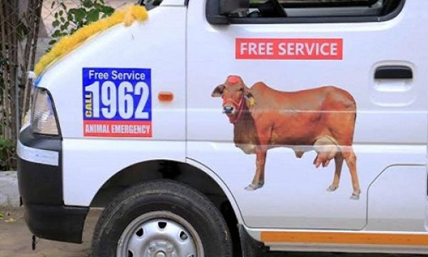 पशु मोबाइल मेडिकल एम्बुलेंस घर पहुंच सेवा प्रदान करेगा