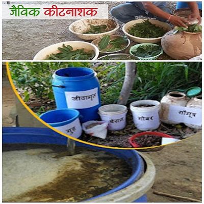 शरीर में जहरीले खाद से मुक्ति के लिए अपनाना होगा प्राकृतिक खेती