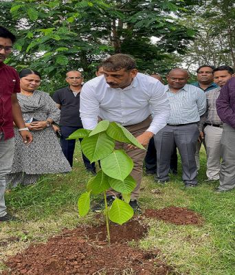 कलेक्टर श्री गोपाल वर्मा ने कलेक्टोरेट परिसर में किया कदम पौधे का रोपण, पर्यावरण संरक्षण का दिया संदेश