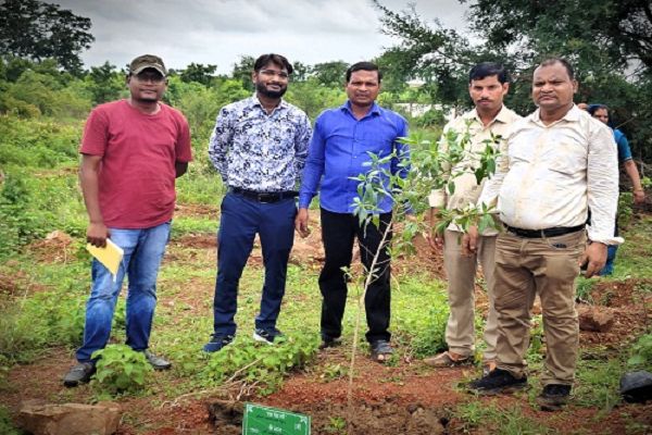 जनसंपर्क कार्यालय के अधिकारी-कर्मचारियों ने किया पौधरोपण