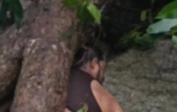 कांकेर में रायपुर के युवक की मौत, जलप्रपात में हुआ हादसा