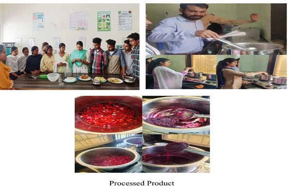 विशेष लेख : धमतरी जिले को जल्द मिलेगा हाईटेक नर्सरी, किसान प्रशिक्षण केंद्र और फूड प्रोसेसिंग इनक्यूबेशन सेंटर का लाभ