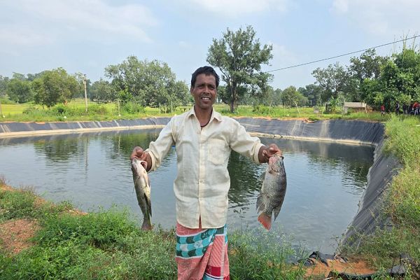 ग्रामीण अंचलों में मत्स्य पालन से आजीविका एवं आत्मनिर्भरता के खुल रहे नए अवसर