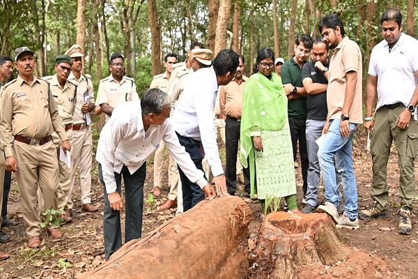 सीमांकन, चिन्हांकन, फेलिंग एवं लॉगिंग विषय पर वृत्त स्तरीय कार्यशाला संपन्न,