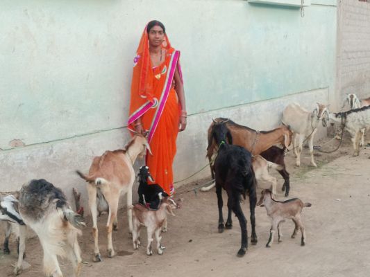 महतारी वंदन योजना से बदली ज़िंदगी श्यामा बनी आत्मनिर्भरता की पहचान