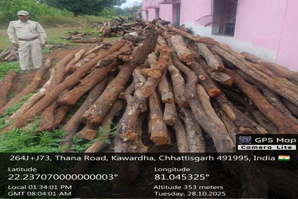 होटल-ढाबों से अवैध लकड़ी जब्त, तीन प्रकरण दर्ज