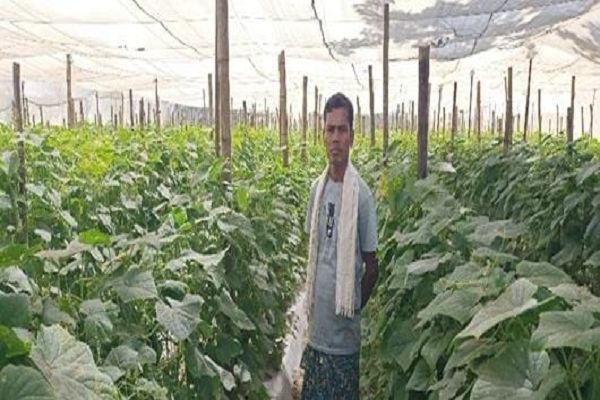 :बंदूक की गूंज से फलों और फूलों की महक तक का सफर