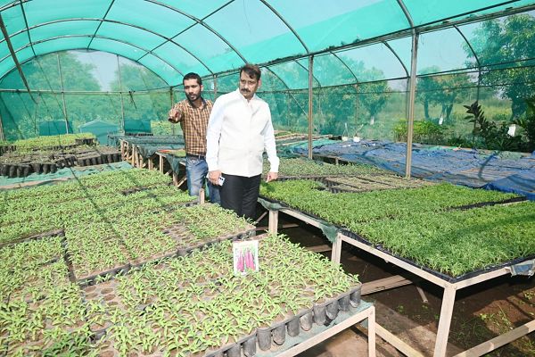  कलेक्टर श्री गोपाल वर्मा ने ग्राम खूंटू नर्सरी का किया निरीक्षण