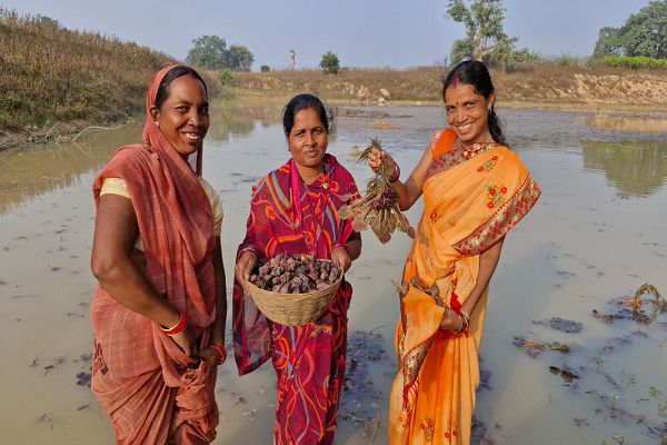 मछली पालन और सिंघाड़ा खेती से बढ़ी महिला स्व-सहायता समूह की आमदनी