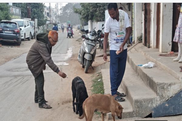 गरियाबंद को &lsquo;रेबीज मुक्त&rsquo; बनाने की दिशा में बड़ी पहल: नगर पालिका ने पूर्ण किया आवारा कुत्तों का व्यापक टीकाकरण अभियान