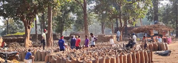 प्रशासन की धीमी चाल से खरीदी केंद्र बेहाल, धान उठाव बना सिरदर्द, प्रभारियों को सताने लगी चिंता