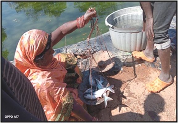 मछली पालन से बदली जिंदगी: लिखमनिया बाई को 10 माह में एक लाख रुपये का शुद्ध लाभ