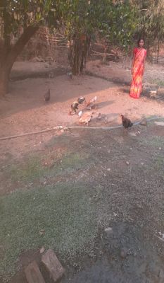  संघर्ष से सफलता तक का सफर , पांचो जयते बनी सफल महिला उद्यमी