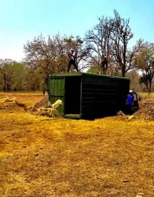 वन विभाग की बड़ी उपलब्धि : बारनवापारा का रामपुर ग्रासलैंड फिर हुआ काले हिरणों से आबाद    