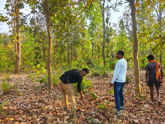 बाघ गणना का कार्य सफलतापूर्वक संपन्न