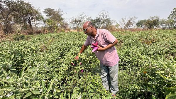 किसान हितैषी योजनाओं से आत्मनिर्भर बने संजय साहू, नवाचार से बदल दी खेती की तस्वीर